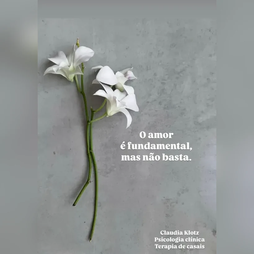 O amor é fundamental, mas não basta. Terapia de casais.